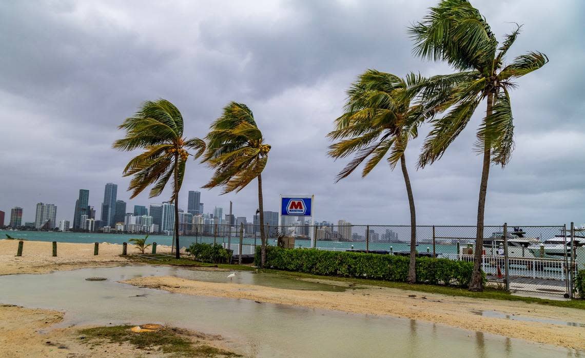 BBC Weather Miami Beach: Forecasts, Climate, and Coastal Updates